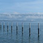 Bodensee im Januar