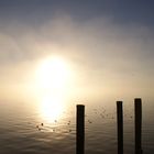 Bodensee im Nebel