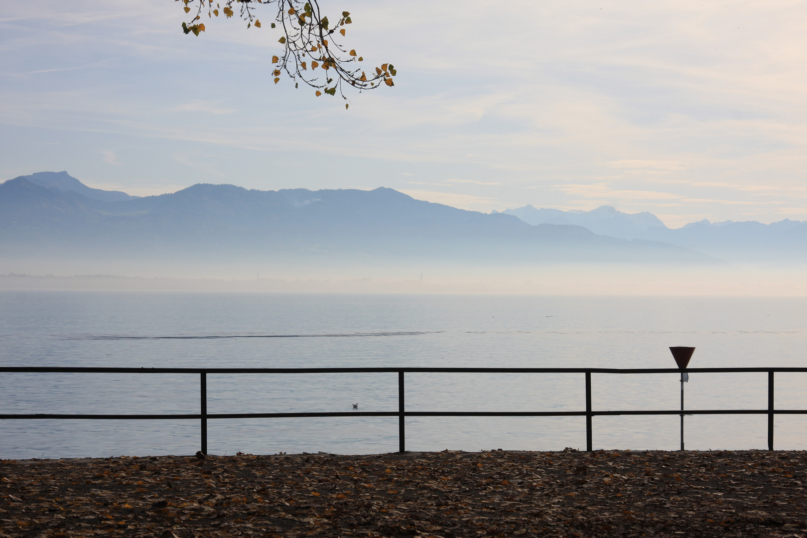 Bodensee im Nebel