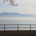 Bodensee im Nebel