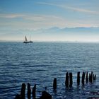 Bodensee im Oktobernebel