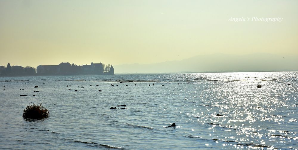 Bodensee im Sonnenlicht