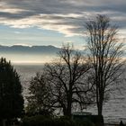 Bodensee im Winter