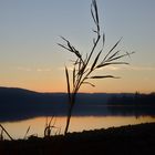 Bodensee im Winter