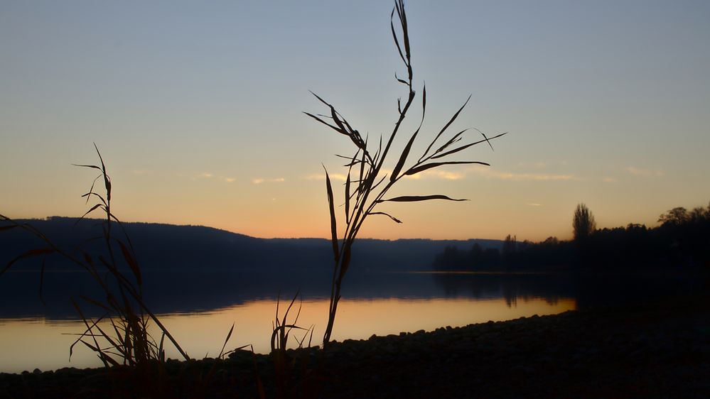 Bodensee im Winter