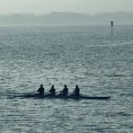 Bodensee Impressioenen