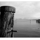 Bodensee Impression 1