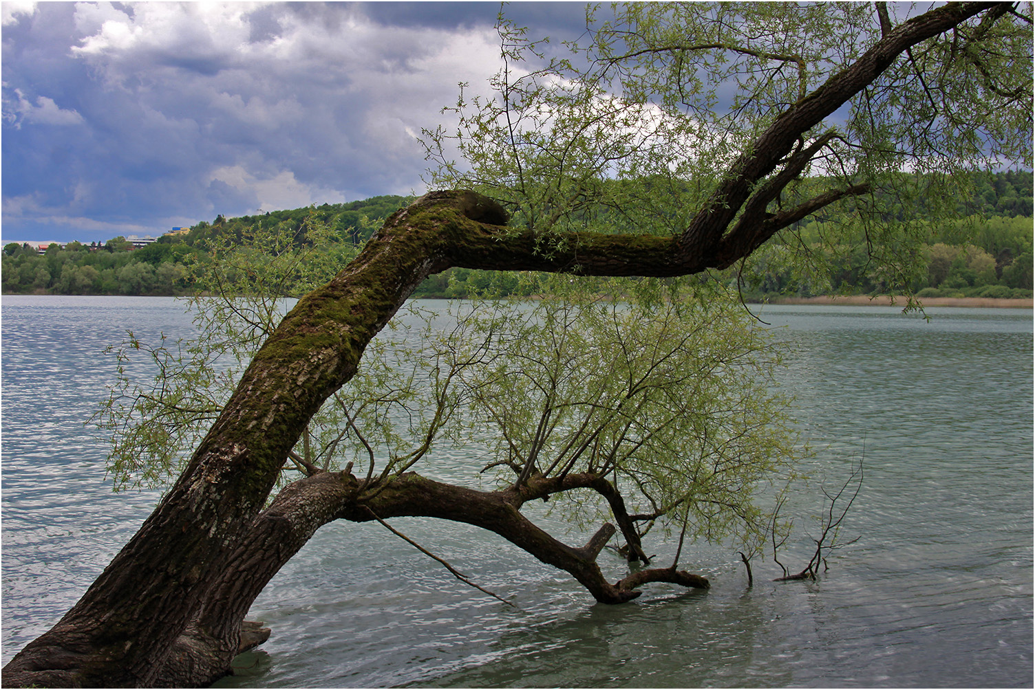 Bodensee-Impression