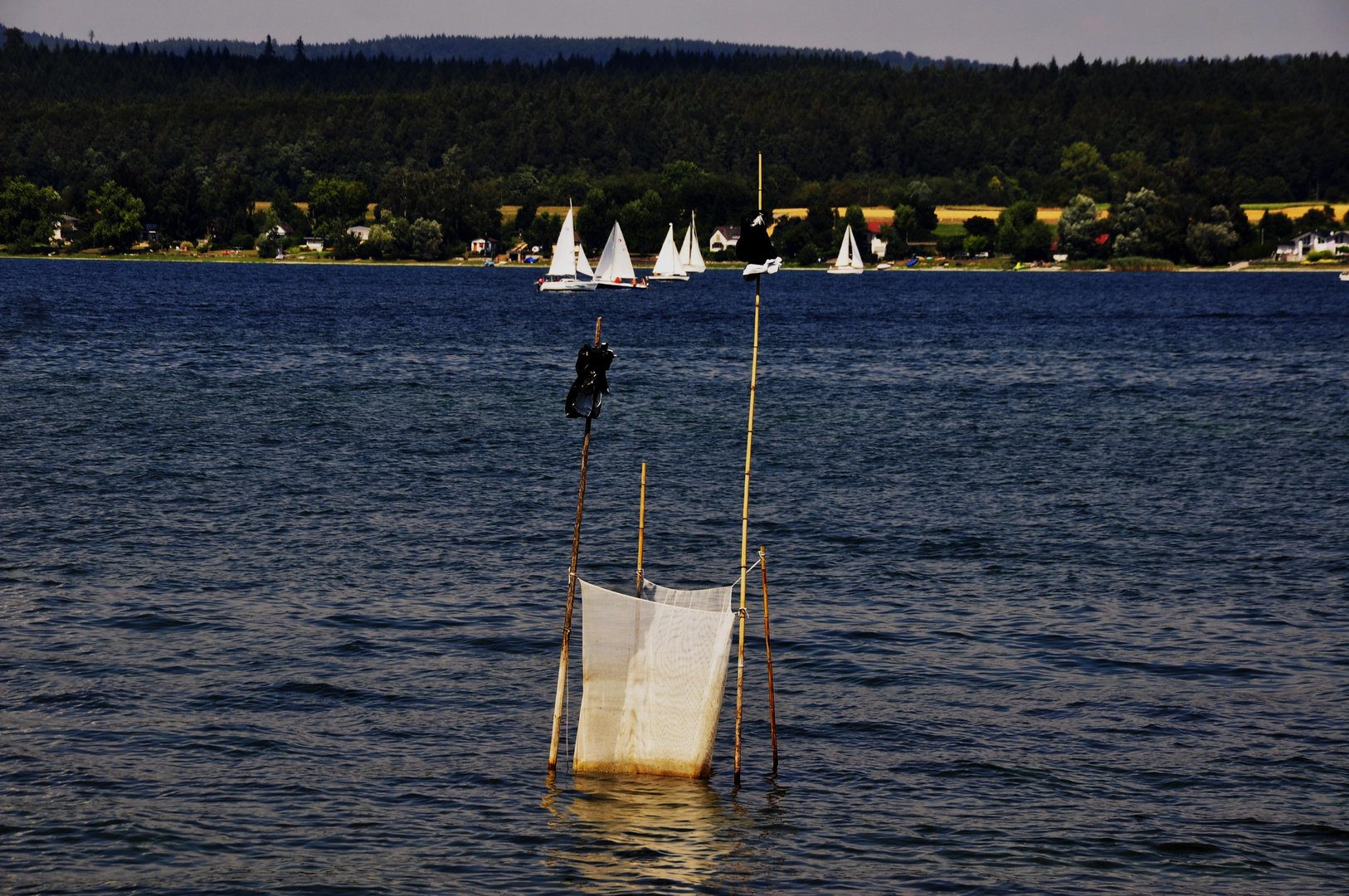 Bodensee Impressionen 1