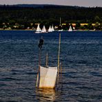 Bodensee Impressionen 1