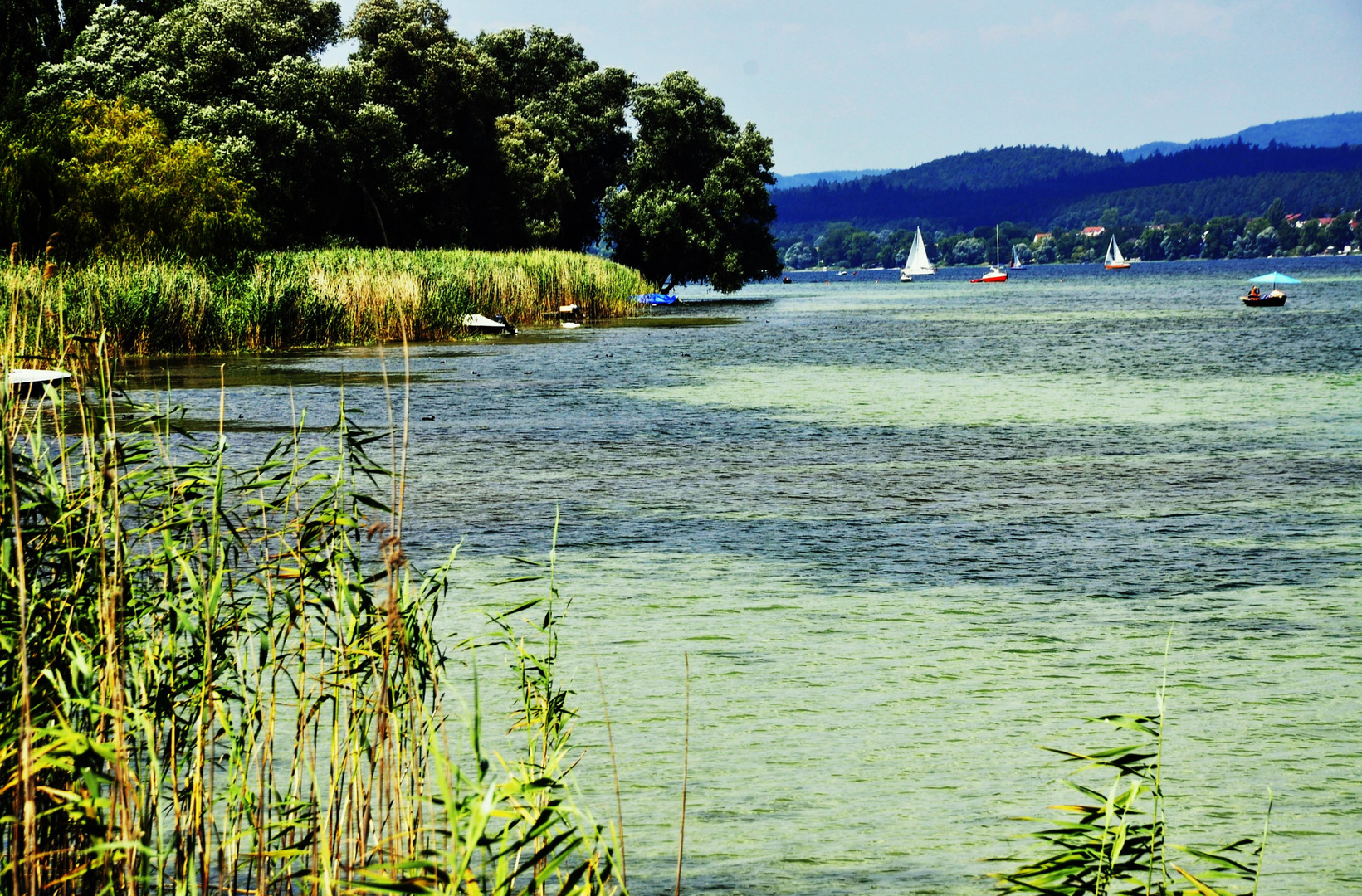 Bodensee Impressionen 3