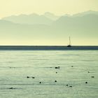 Bodensee Impressionen. (4)