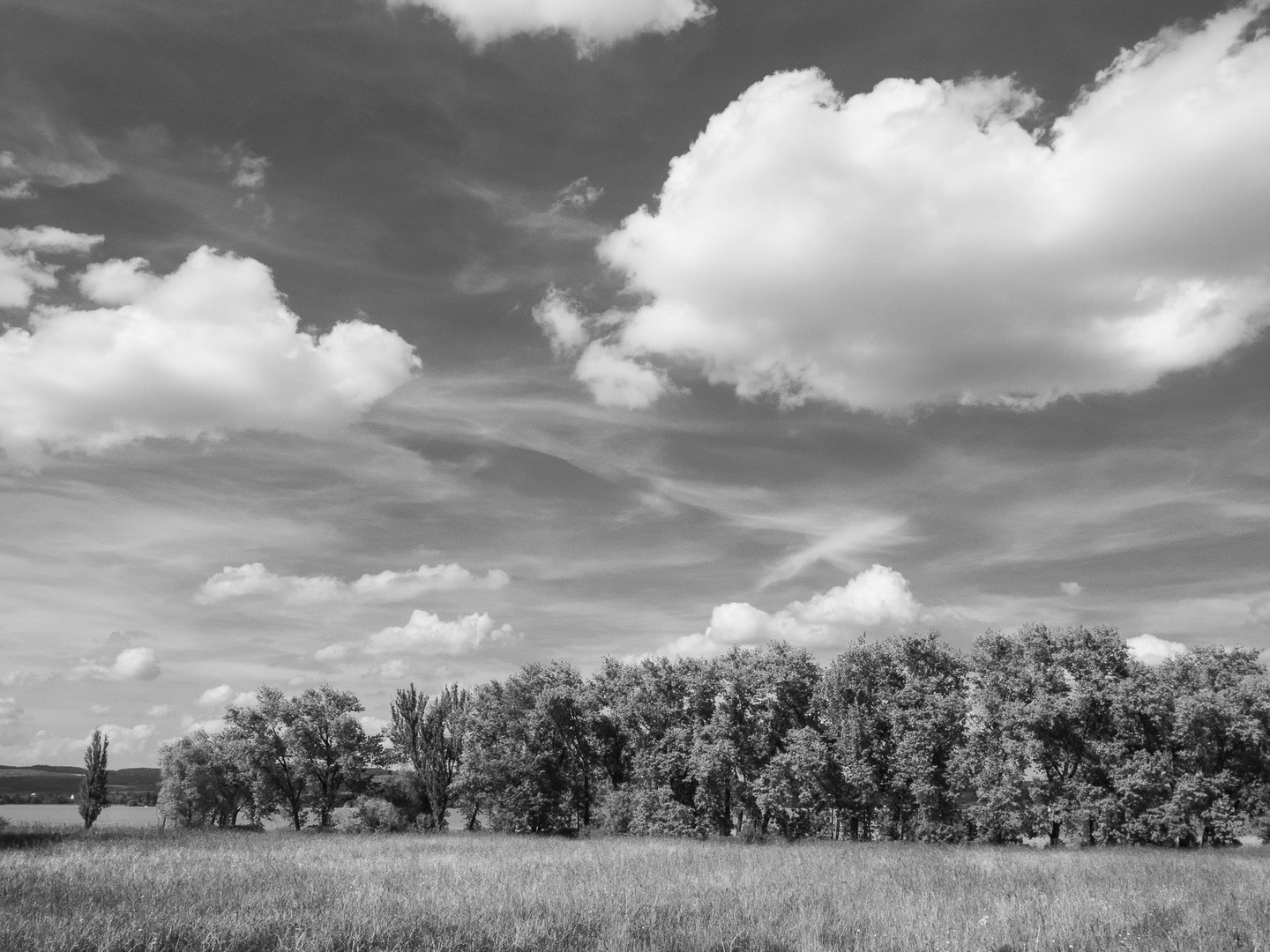 Bodensee-Impressionen I