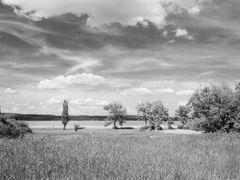 Bodensee-Impressionen II