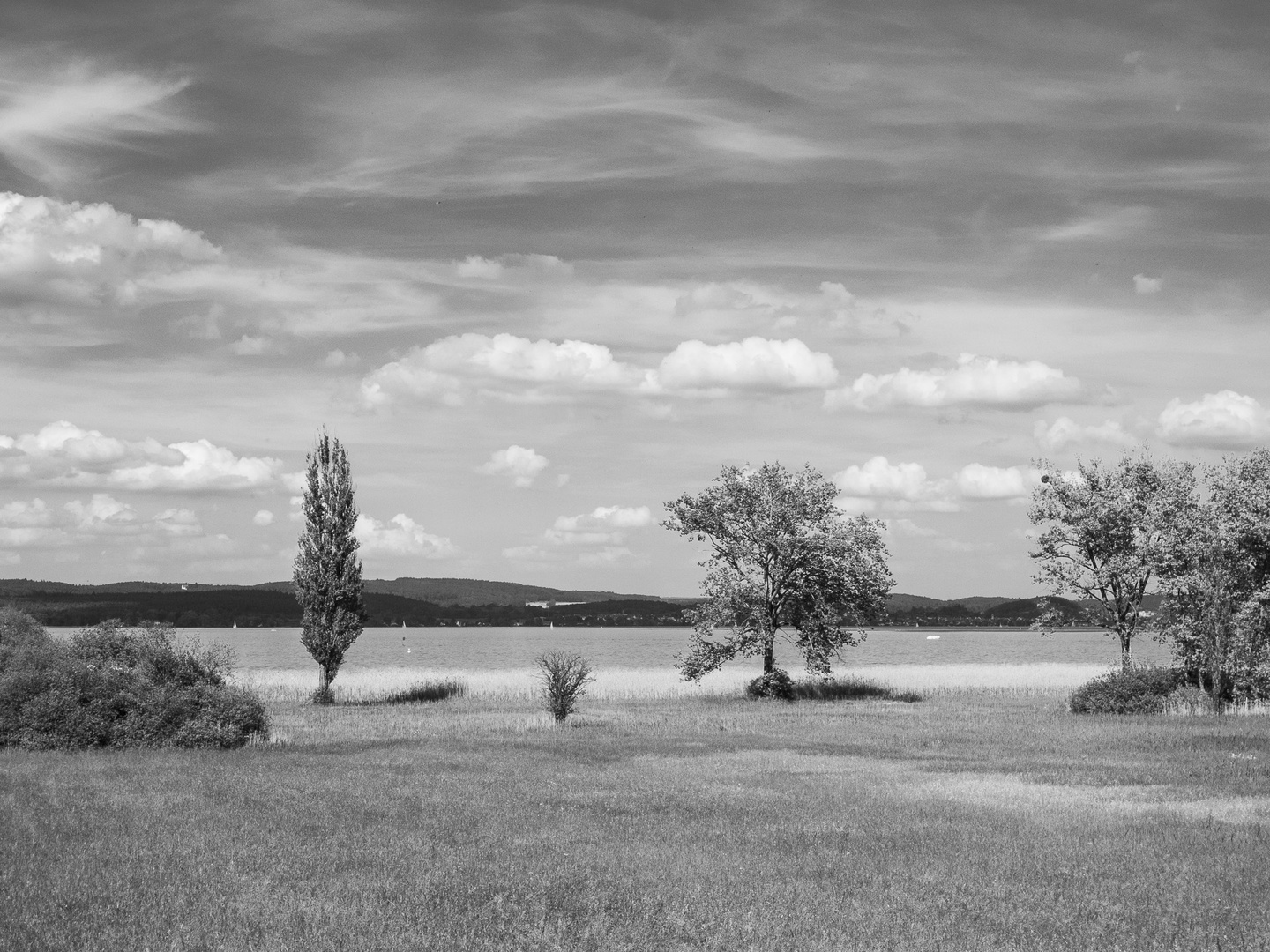 Bodensee-Impressionen III