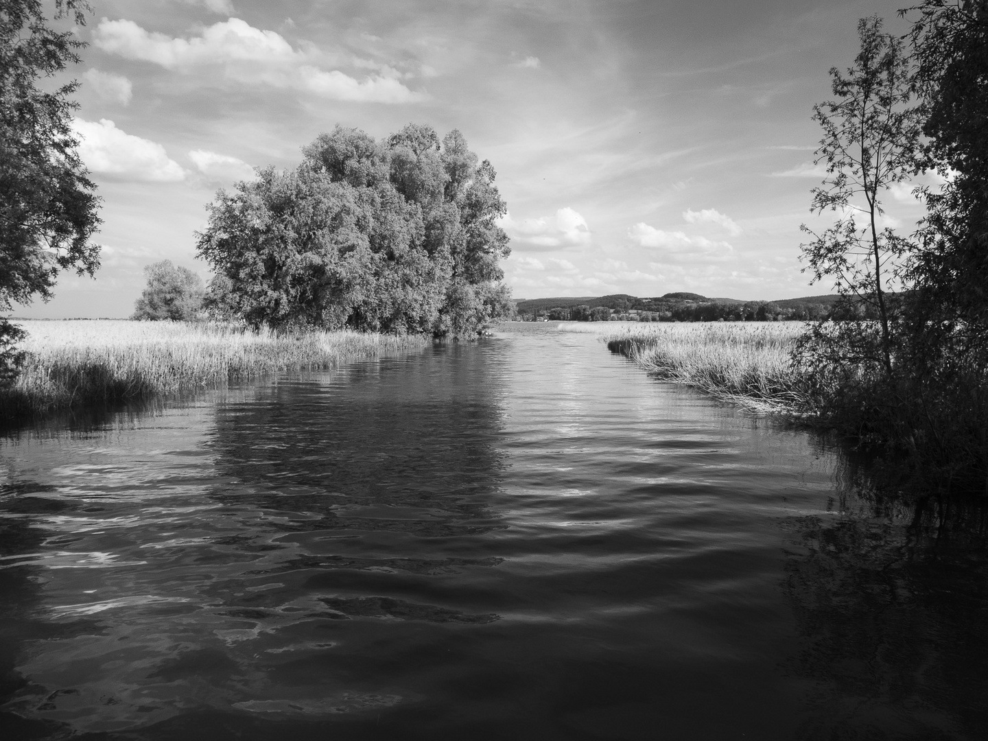 Bodensee-Impressionen V