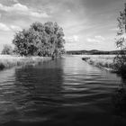 Bodensee-Impressionen V