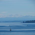 Bodensee in Blau