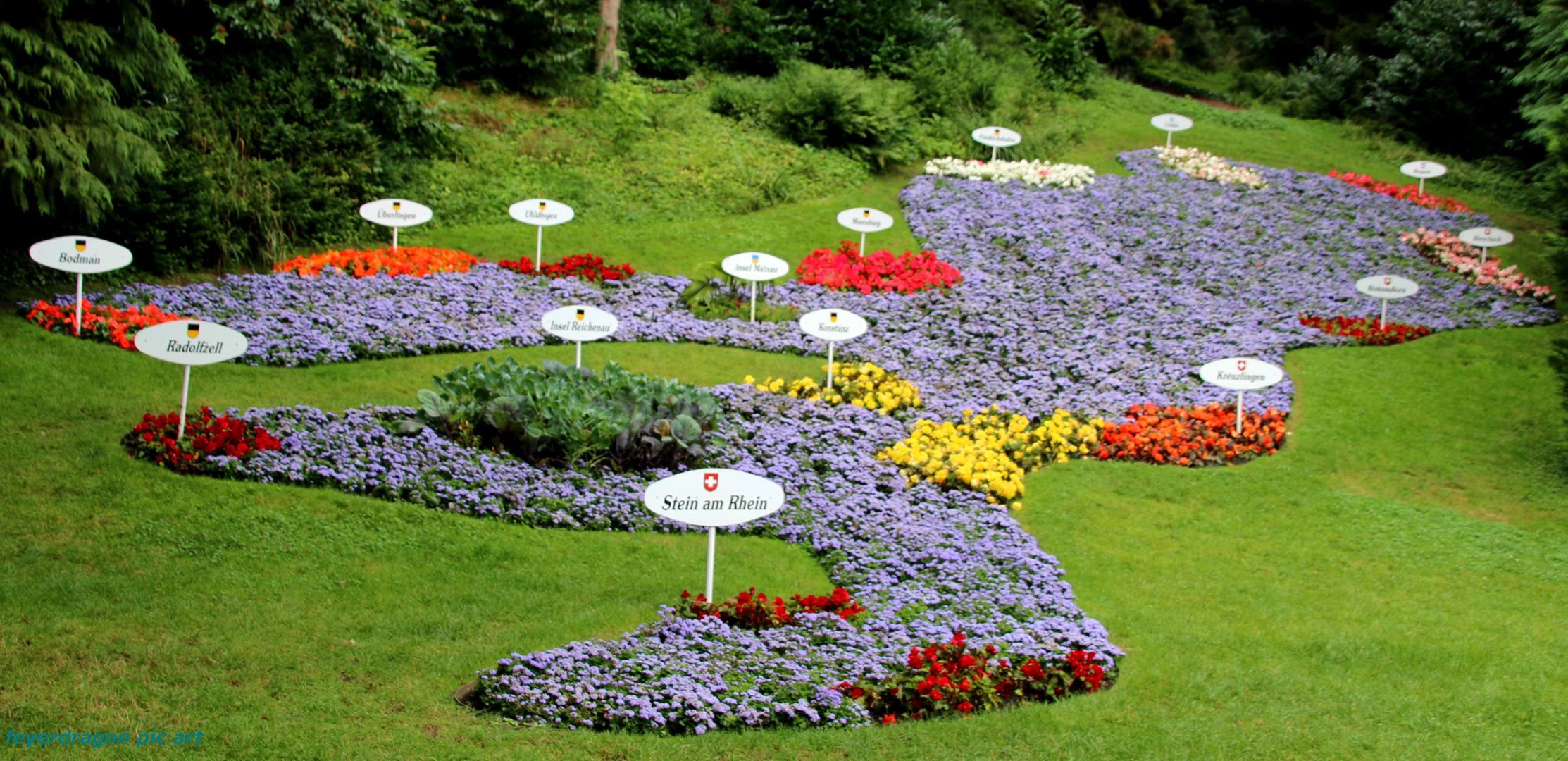 bodensee in blumen