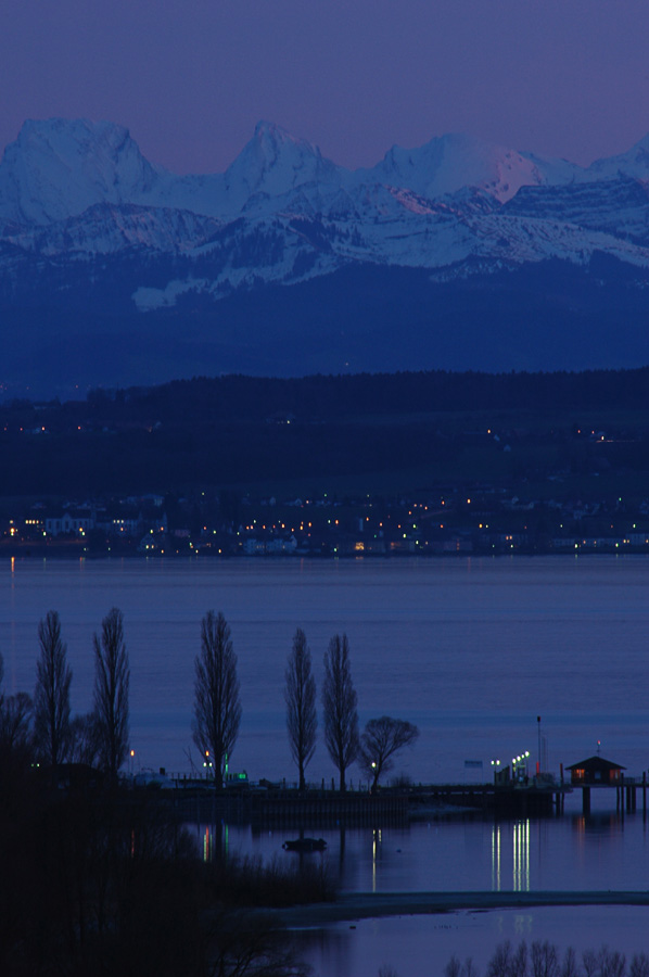 Bodensee in der blauen Stunde