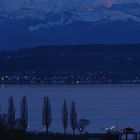 Bodensee in der blauen Stunde