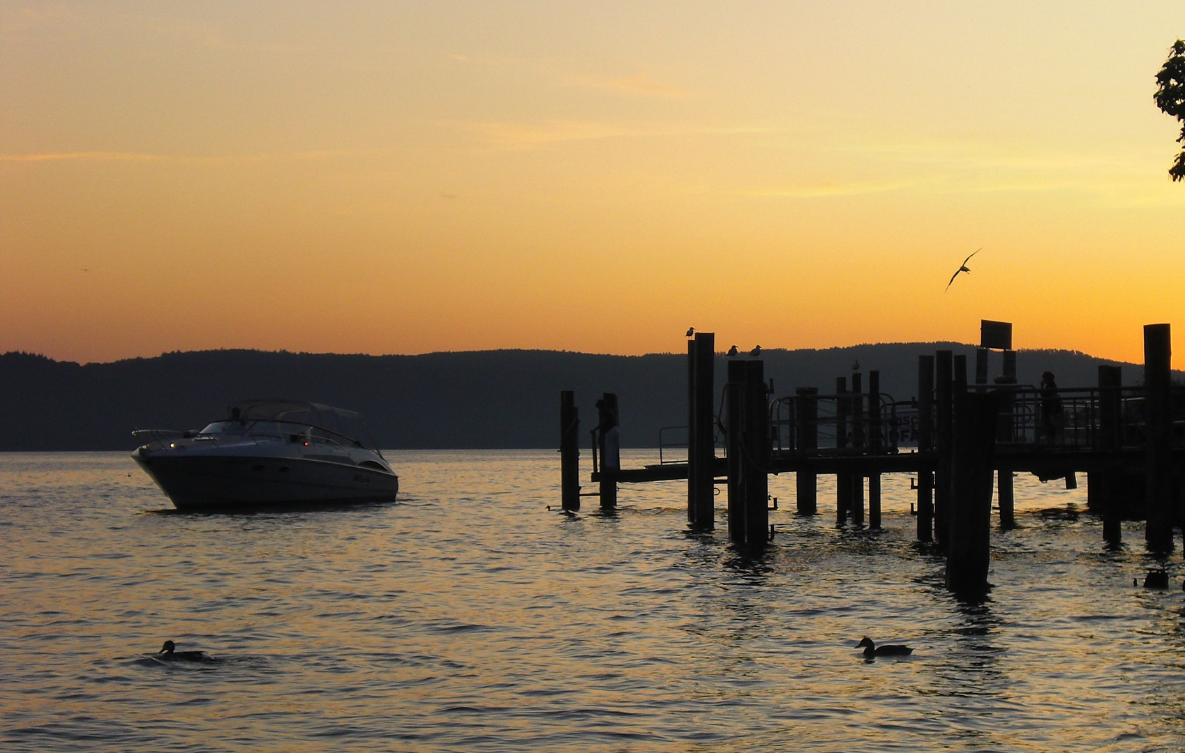 Bodensee in der Dämmerung