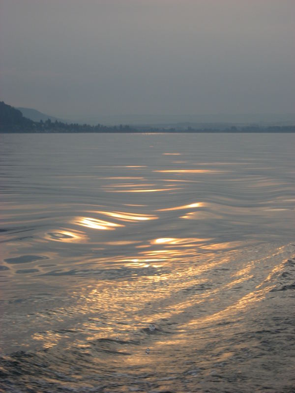 Bodensee in Gold