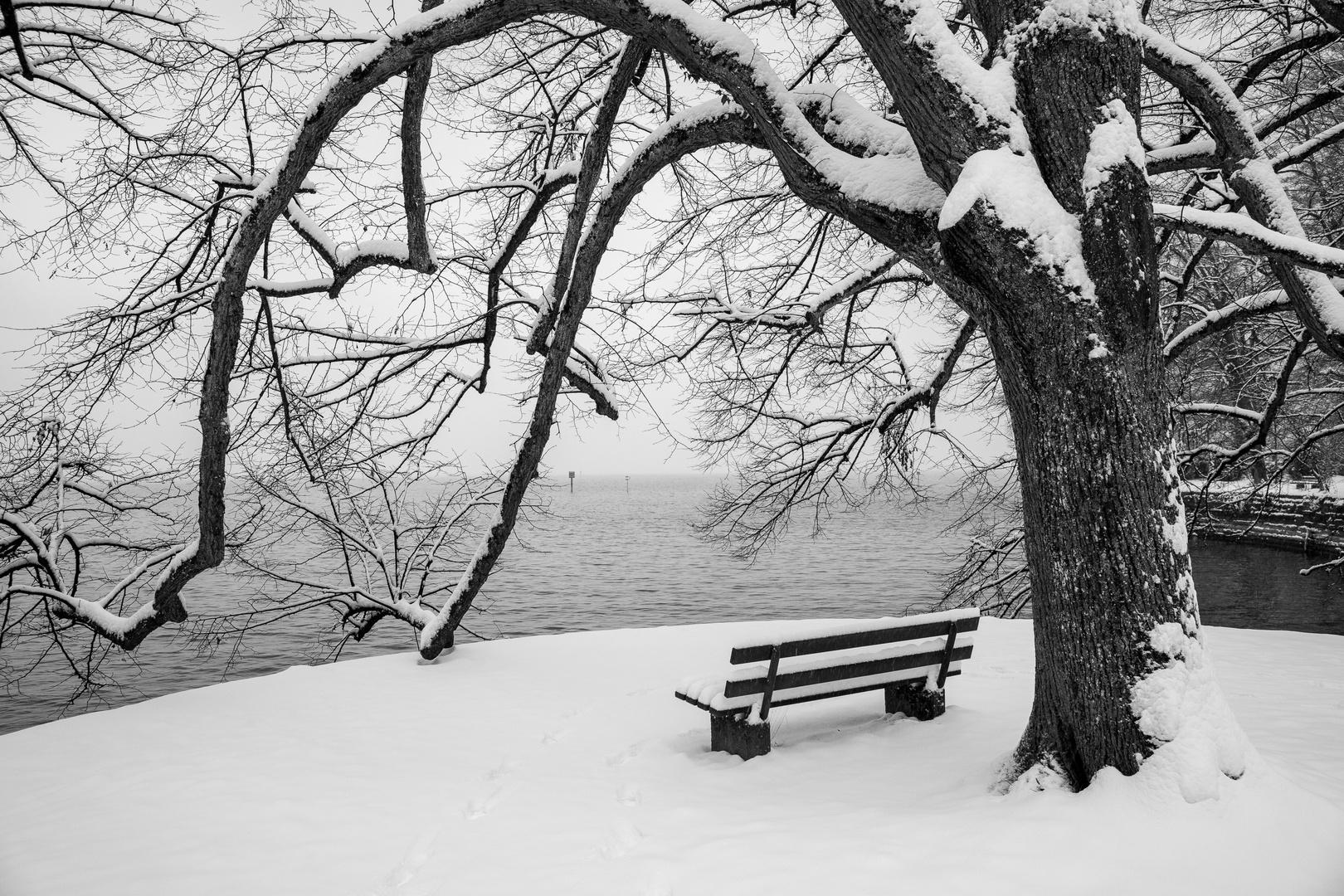 Bodensee in Lindau / 2