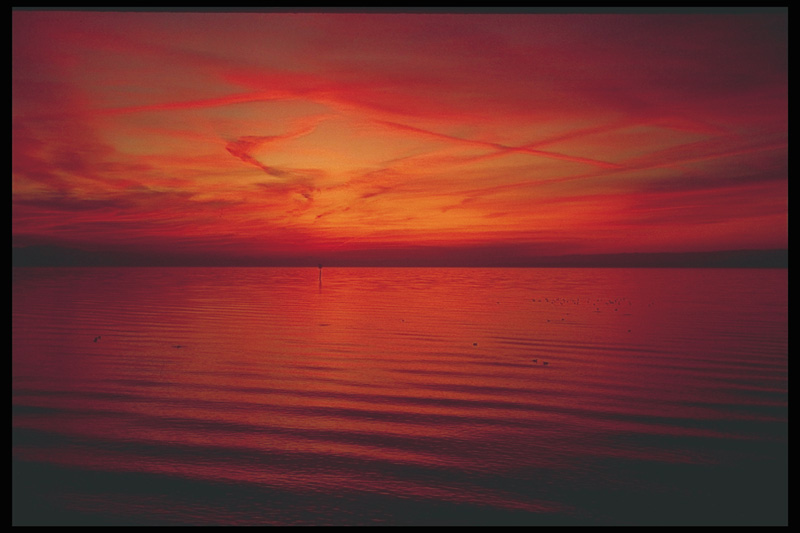 Bodensee in Rot