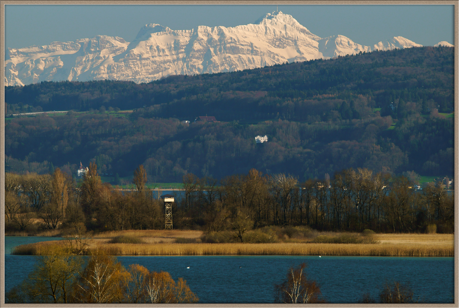 Bodensee, Insel Mettnau (bei Radolfzell), Alpen (Säntis-Massiv), April 2015