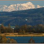 Bodensee, Insel Mettnau (bei Radolfzell), Alpen (Säntis-Massiv), April 2015