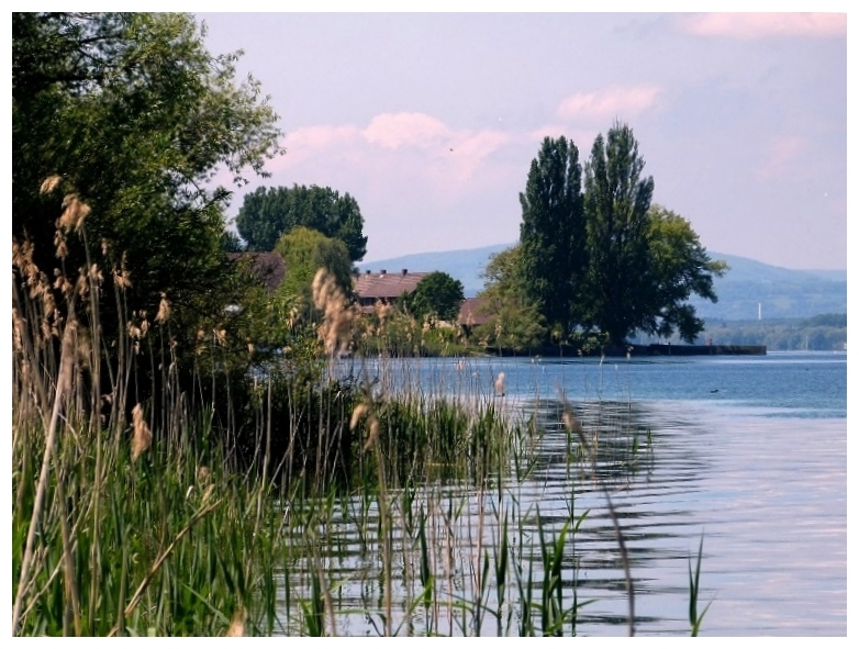 Bodensee, Insel Reichenau