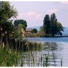 Bodensee, Insel Reichenau