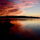 Bodensee, kurz nach Sonnenuntergang