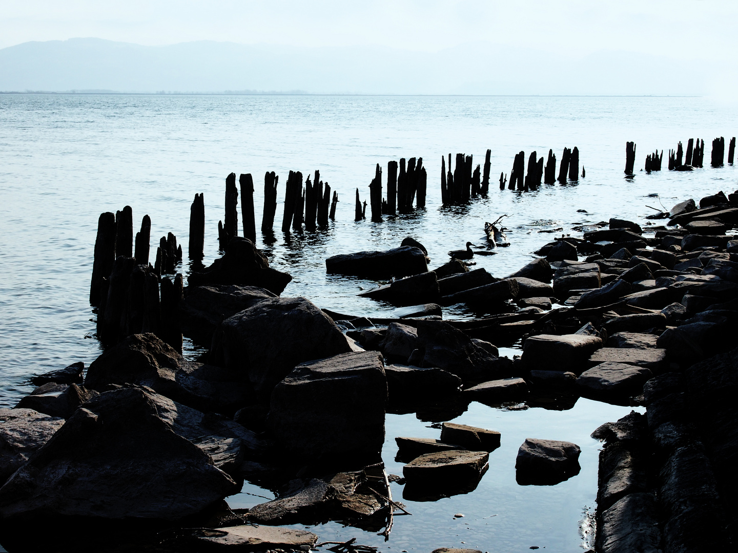 Bodensee (Lindau)