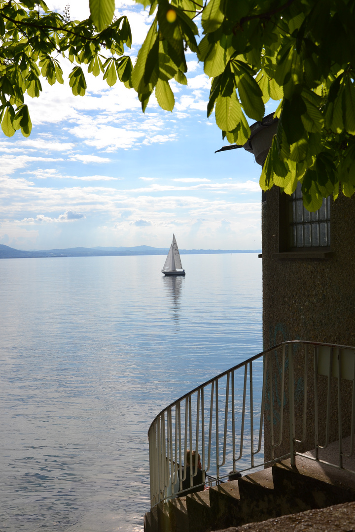 Bodensee - Lindau