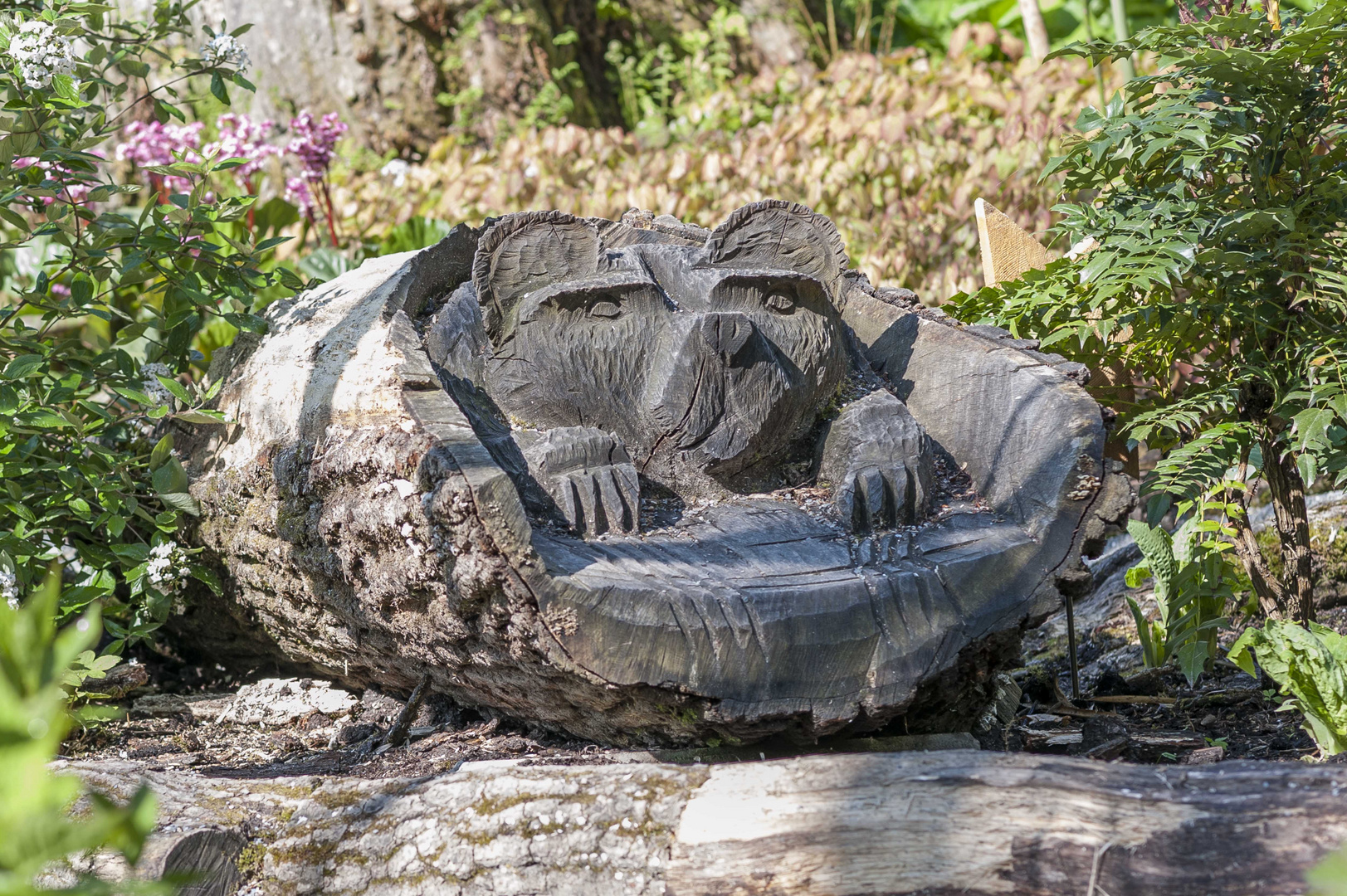 Bodensee - Mainau Bulmeninsel