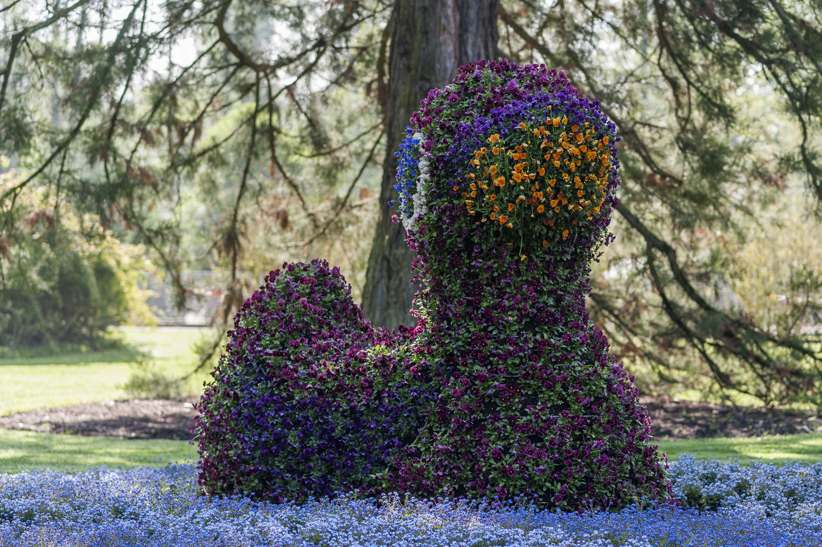 Bodensee - Mainau Bulmeninsel