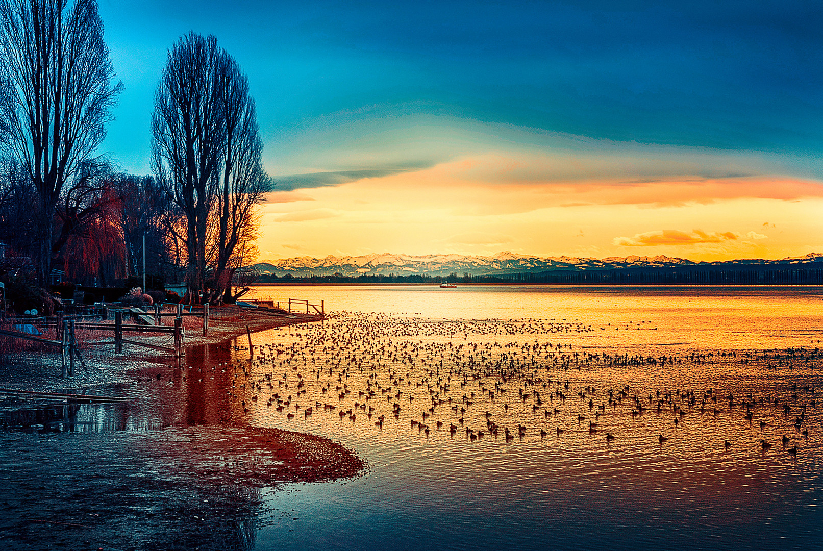 Bodensee mit Alpensicht