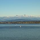 Bodensee mit Säntis