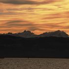 Bodensee mit Säntis und Schiff