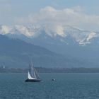 Bodensee mit Segelschiff