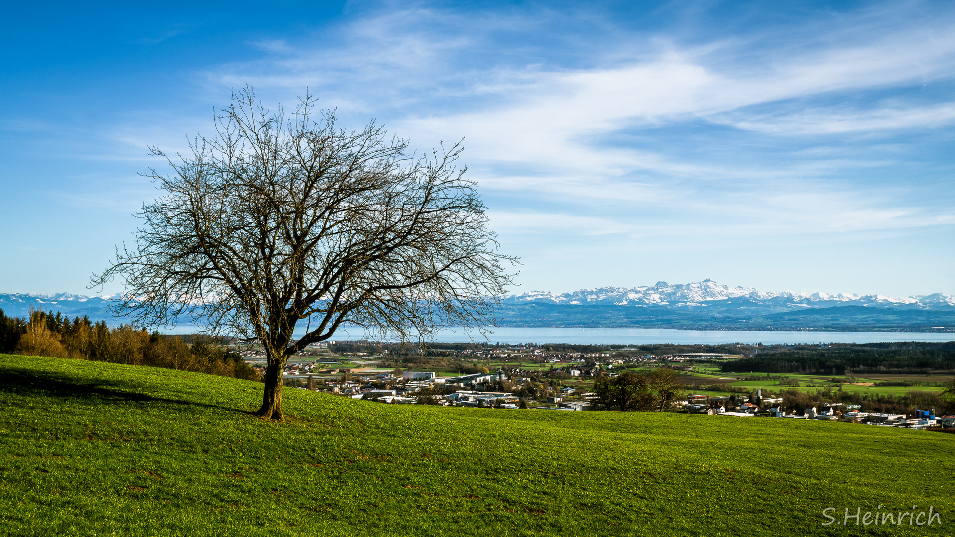 Bodensee mit Sicht auf die Alpen