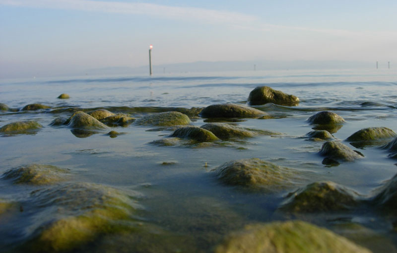 Bodensee mit Sicht zur Schweiz