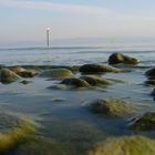 Bodensee mit Sicht zur Schweiz