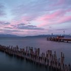 Bodensee morgen_001