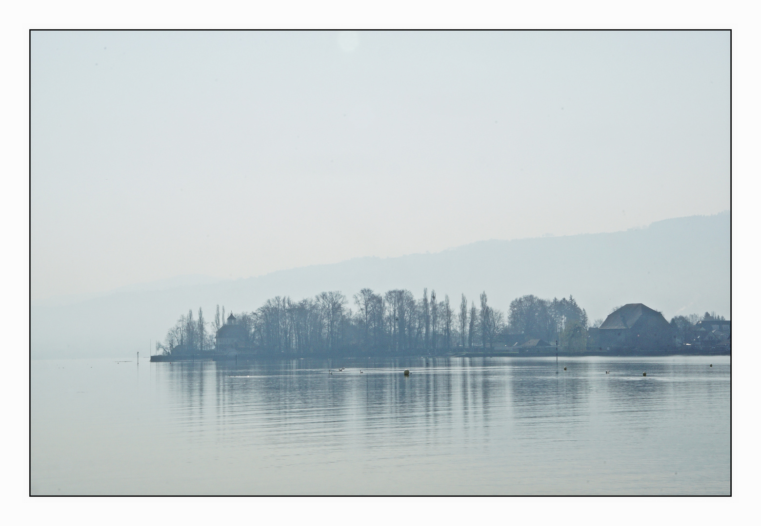 Bodensee morgens früh