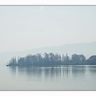 Bodensee morgens früh