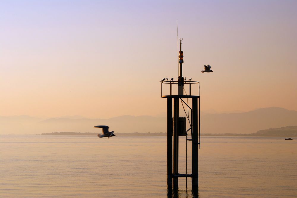 bodensee morgens um 6