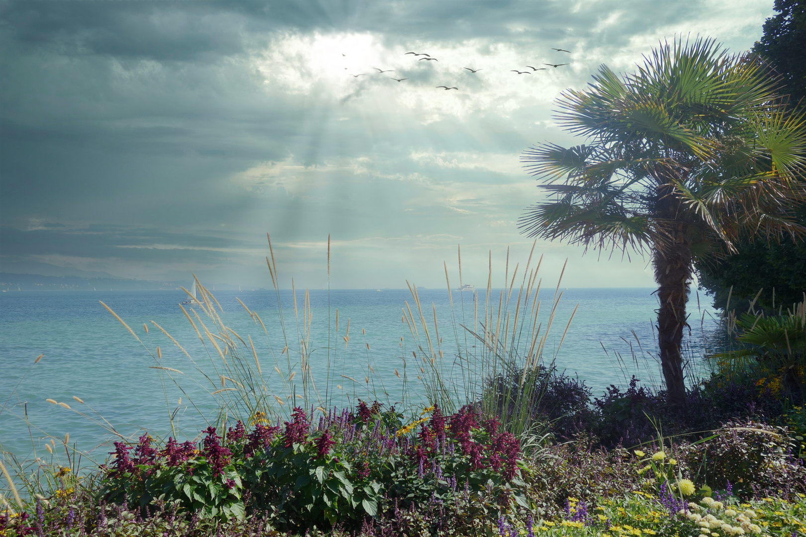 Bodensee musste mal wieder sein, Blick von der Blumeninsel über den See